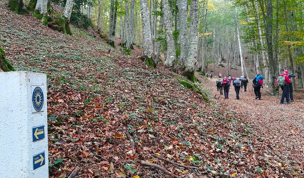 Il Cammino di San Francesco di Paola